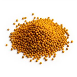 Mustard Seed